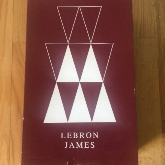 Lebron 10 Soilder - Picture 4 of 7